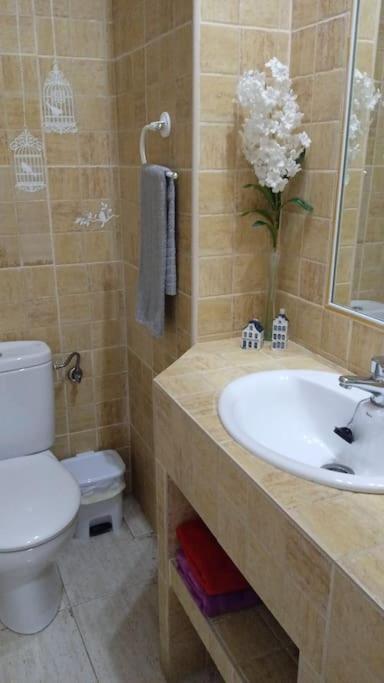 Bonito Apartamento Jv36 Apartman Córdoba Kültér fotó